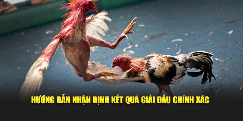 Hướng dẫn nhận định kết quả giải đấu chiến kê chính xác