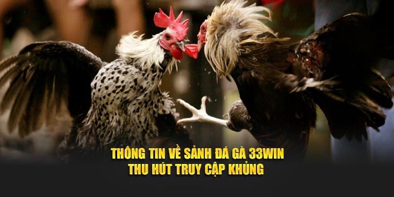 Thông tin về sảnh đá gà 33WIN thu hút truy cập khủng